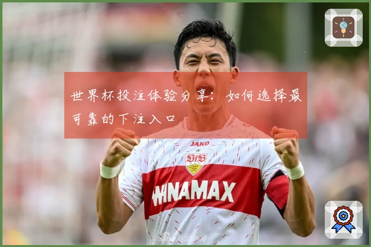 世界杯投注体验分享：如何选择最可靠的下注入口