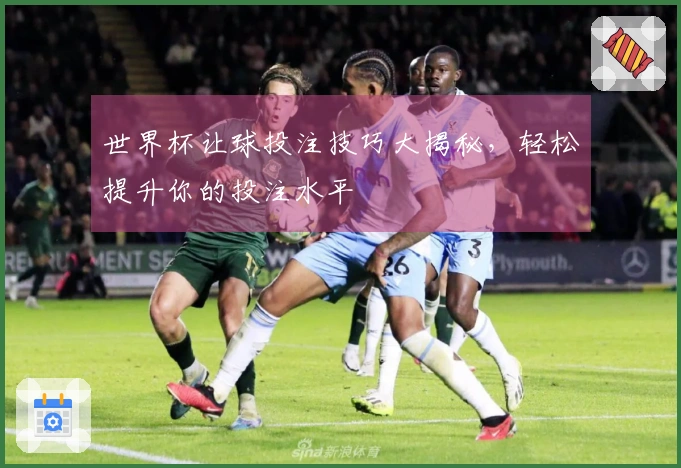 世界杯让球投注技巧大揭秘，轻松提升你的投注水平